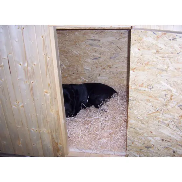 Přírodní podestýlka pro psy